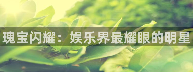 今年会官网登录入口