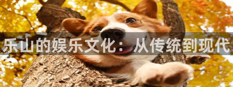 今年会首页