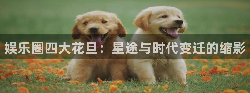 今年会
