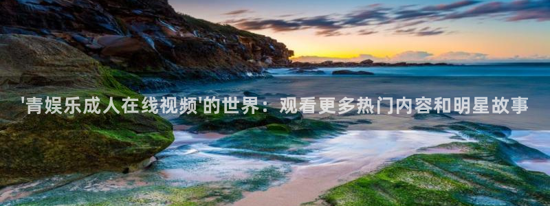 今年会
